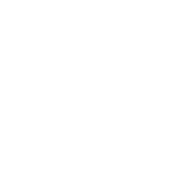 Obviously NYC