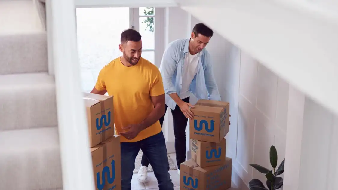 Wondermove image