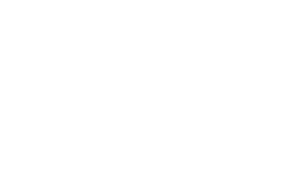 Trent Limited Logo